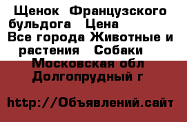 Щенок  Французского бульдога › Цена ­ 35 000 - Все города Животные и растения » Собаки   . Московская обл.,Долгопрудный г.